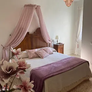 Bed & Breakfast Christy House
